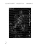 Spinel Type Lithium Transition Metal Oxide diagram and image