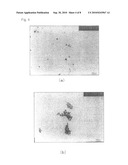 COMPOSITION CONTAINING FINE SILVER PARTICLES, PRODUCTION METHOD THEREOF, METHOD FOR PRODUCING FINE SILVER PARTICLES, AND PASTE HAVING FINE SILVER PARTICLES diagram and image