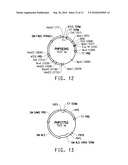 DIELECTRIC HEAT-TRANSFER FLUID diagram and image