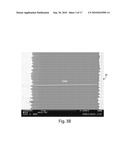 NANOSENSORS diagram and image