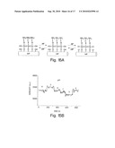 NANOSENSORS diagram and image