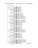 TOUCH SCREEN FINGER TRACKING ALGORITHM diagram and image