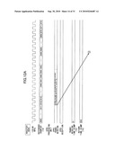 RADIO BASE STATION APPARATUS AND SYNCHRONIZATION METHOD THEREOF diagram and image