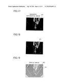 Operation Support System, Vehicle, And Method For Estimating Three-Dimensional Object Area diagram and image