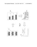 Multi-Image Deblurring diagram and image