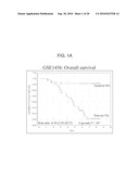 ARRAYS, KITS AND CANCER CHARACTERIZATION METHODS diagram and image