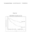 ARRAYS, KITS AND CANCER CHARACTERIZATION METHODS diagram and image