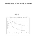 ARRAYS, KITS AND CANCER CHARACTERIZATION METHODS diagram and image