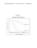 ARRAYS, KITS AND CANCER CHARACTERIZATION METHODS diagram and image