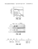 ANTI-FGFR3 ANTIBODIES AND METHODS USING SAME diagram and image