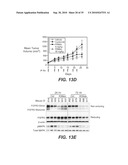 ANTI-FGFR3 ANTIBODIES AND METHODS USING SAME diagram and image