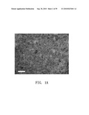 REPAIR AND TREATMENT OF BONE DEFECT USING CELLS INDUCED BY AGENT PRODUCED BY CHONDROCYTES CAPABLE OF HYPERTROPHICATION AND SCAFFOLD diagram and image