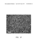 REPAIR AND TREATMENT OF BONE DEFECT USING CELLS INDUCED BY AGENT PRODUCED BY CHONDROCYTES CAPABLE OF HYPERTROPHICATION AND SCAFFOLD diagram and image