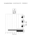 REPAIR AND TREATMENT OF BONE DEFECT USING CELLS INDUCED BY AGENT PRODUCED BY CHONDROCYTES CAPABLE OF HYPERTROPHICATION AND SCAFFOLD diagram and image