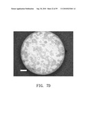 REPAIR AND TREATMENT OF BONE DEFECT USING CELLS INDUCED BY AGENT PRODUCED BY CHONDROCYTES CAPABLE OF HYPERTROPHICATION AND SCAFFOLD diagram and image