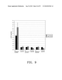 REPAIR AND TREATMENT OF BONE DEFECT USING CELLS INDUCED BY AGENT PRODUCED BY CHONDROCYTES CAPABLE OF HYPERTROPHICATION AND SCAFFOLD diagram and image