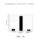 REPAIR AND TREATMENT OF BONE DEFECT USING CELLS INDUCED BY AGENT PRODUCED BY CHONDROCYTES CAPABLE OF HYPERTROPHICATION AND SCAFFOLD diagram and image