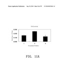 REPAIR AND TREATMENT OF BONE DEFECT USING CELLS INDUCED BY AGENT PRODUCED BY CHONDROCYTES CAPABLE OF HYPERTROPHICATION AND SCAFFOLD diagram and image