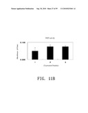 REPAIR AND TREATMENT OF BONE DEFECT USING CELLS INDUCED BY AGENT PRODUCED BY CHONDROCYTES CAPABLE OF HYPERTROPHICATION AND SCAFFOLD diagram and image