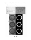 REPAIR AND TREATMENT OF BONE DEFECT USING CELLS INDUCED BY AGENT PRODUCED BY CHONDROCYTES CAPABLE OF HYPERTROPHICATION AND SCAFFOLD diagram and image