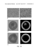 REPAIR AND TREATMENT OF BONE DEFECT USING CELLS INDUCED BY AGENT PRODUCED BY CHONDROCYTES CAPABLE OF HYPERTROPHICATION AND SCAFFOLD diagram and image