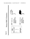 CODON MODIFIED IMMUNOGENIC COMPOSITIONS AND METHODS OF USE diagram and image