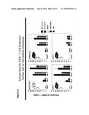 CODON MODIFIED IMMUNOGENIC COMPOSITIONS AND METHODS OF USE diagram and image