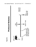 CODON MODIFIED IMMUNOGENIC COMPOSITIONS AND METHODS OF USE diagram and image