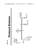 CODON MODIFIED IMMUNOGENIC COMPOSITIONS AND METHODS OF USE diagram and image