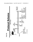 CODON MODIFIED IMMUNOGENIC COMPOSITIONS AND METHODS OF USE diagram and image