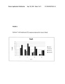 VACCINE COMPOSITIONS AND METHODS CONTAINING AN IMMUNOGEN DERIVED FROM EQUINE ARTERITIS VIRUS diagram and image