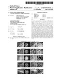 PEGYLATED COMPOUNDS FOR AGE-RELATED MACULAR DEGENERATION diagram and image