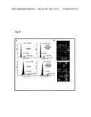 TELOMERASE REVERSE TRANSCRIPTASE VARIANT diagram and image