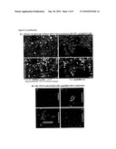 Biologic Modulations with Nanoparticles diagram and image