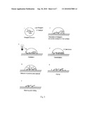 Compositions and Methods Incorporating Photocatalysts diagram and image