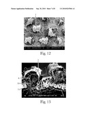 CAPPED TUFTED LAMINATE WEB diagram and image