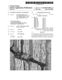 COMPOSITE MATERIALS AND THEIR USE diagram and image