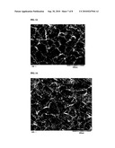 HYDROGEN-PERMEABLE MEMBRANE MADE OF A METAL COMPOSITE MATERIAL diagram and image