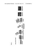 Three-dimensional integrated circuit for analyte detection diagram and image
