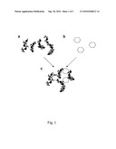 DETECTION CONJUGATE diagram and image