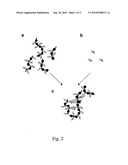 DETECTION CONJUGATE diagram and image