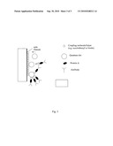 DETECTION CONJUGATE diagram and image