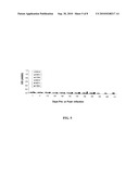 ROUNDWORM COPROANTIGEN DETECTION diagram and image