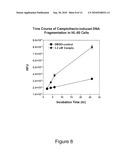 DNA FRAGMENTATION ASSAY diagram and image