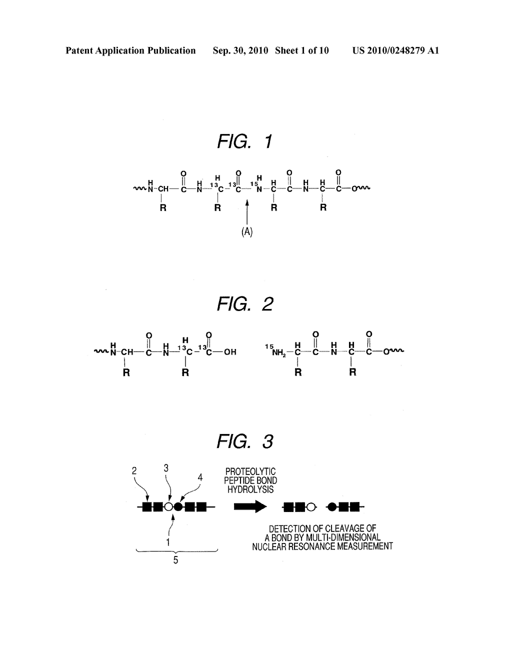SUBSTRATE PROBE, ENZYME-ACTIVITY DETECTION METHOD BY A MULTI-DIMENSIONAL NUCLEAR MAGNETIC RESONANCE METHOD AND ENZYME-ACTIVITY IMAGING METHOD - diagram, schematic, and image 02