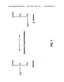 Alanine 2,3-aminomutases and related polynucleotides diagram and image