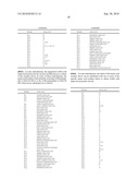 Alanine 2,3-aminomutases and related polynucleotides diagram and image