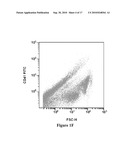 PLATELET PRODUCTION METHODS diagram and image