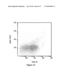 PLATELET PRODUCTION METHODS diagram and image