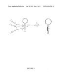 MULTI-ACCEPTOR MOLECULAR PROBES AND APPLICATIONS THEREOF diagram and image